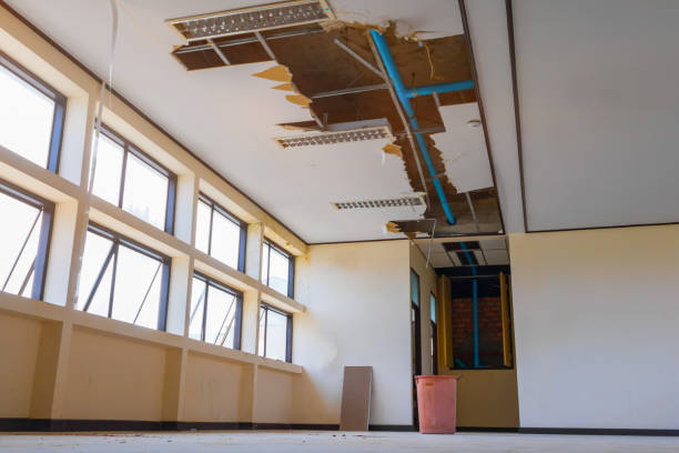 Best Professional water damage repair  in Grand Coulee, WA