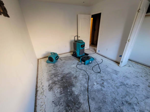 Best Flood restoration services  in Grand Coulee, WA