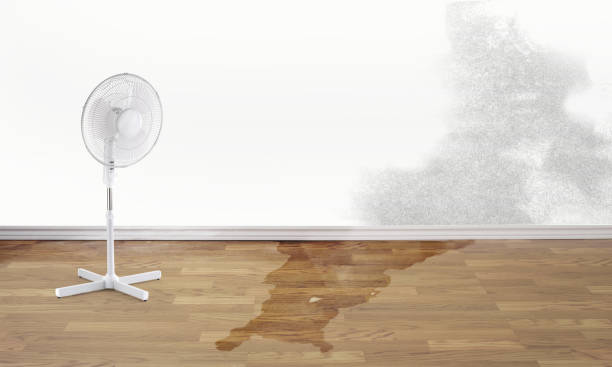 Best Carpet water damage restoration  in Grand Coulee, WA