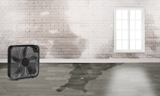 Best Residential water damage restoration  in Grand Coulee, WA