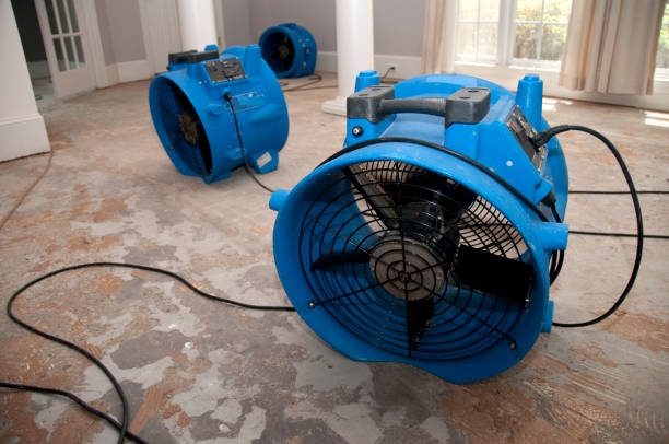 Best Mold removal after water damage  in Grand Coulee, WA